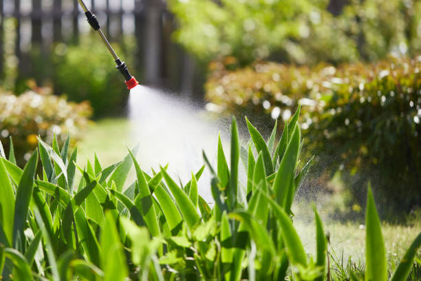 Tamper-Resistant Bait Stations for Rodents in Brisbane