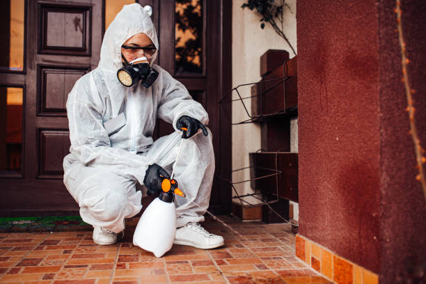 Attic and Crawl Space Rodent Treatment in Brisbane
